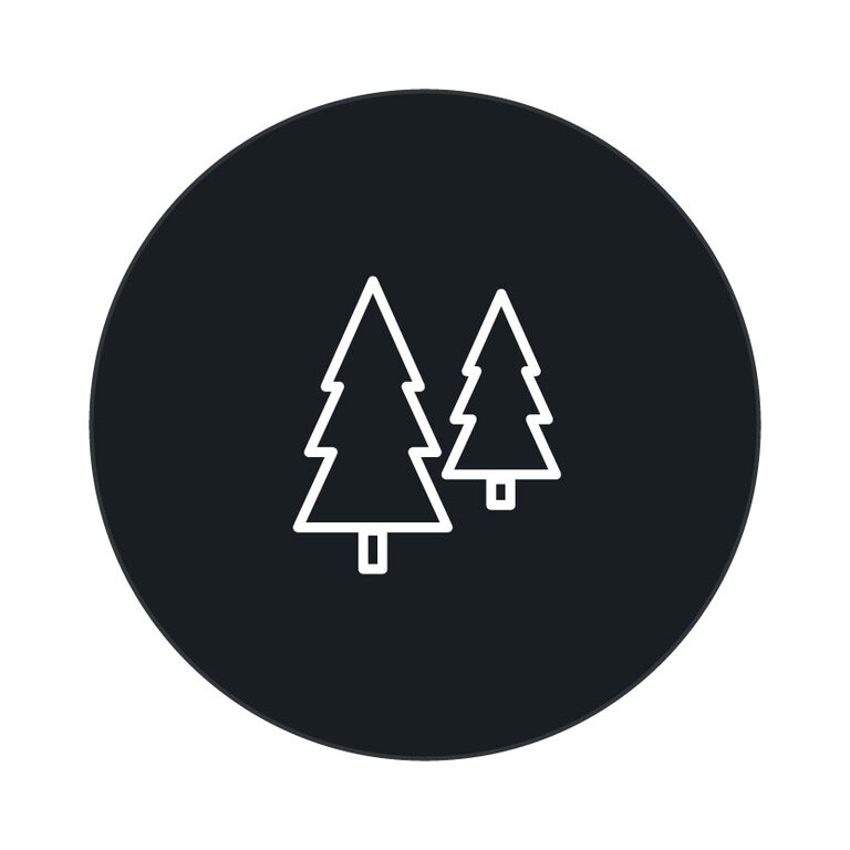 Activity: Outdoor Adventurer