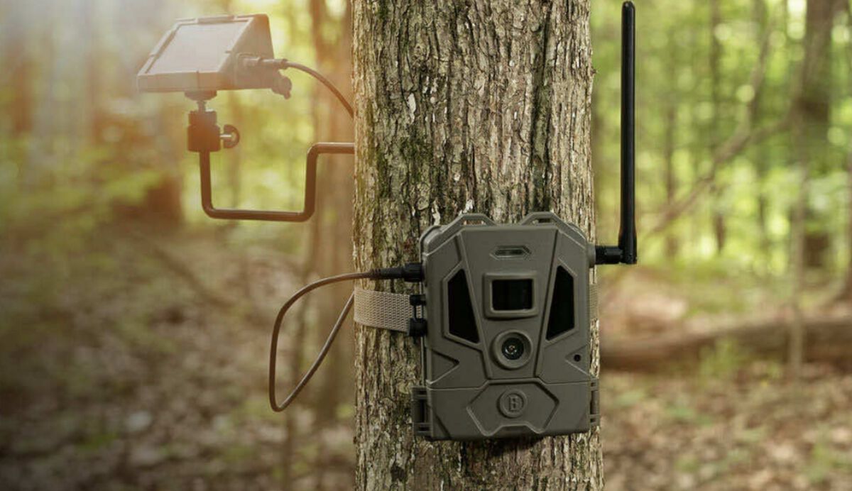 Bushnell Trail Cameras